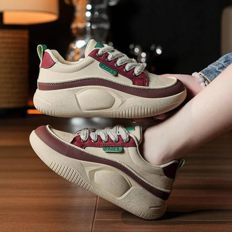 Paniers Orthopédiques | Confort et style