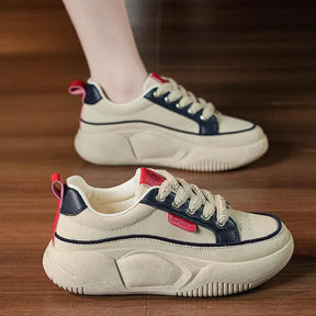 Paniers Orthopédiques | Confort et style